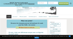 Desktop Screenshot of bicarbonatedesoude.fr
